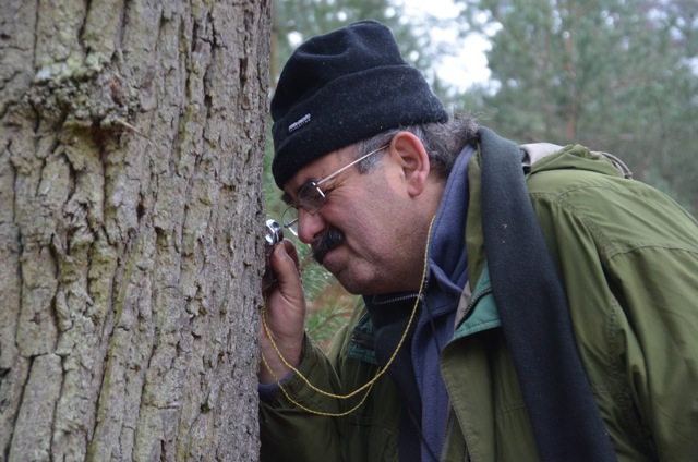 2011 12 A la découverte des lichens 21